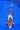 Top quality Takano Goromo Koi, Ref #TK-004, stunning Japanese koi for ponds from JS KOI