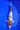 Shop Goromo Koi from Takano lineage, Ref #TK-008, high quality Japanese koi fish at JS KOI