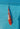 kohaku koi 26cm