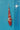 Kohaku koi 26cm