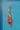 Kohaku tosai koi 28cm