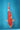 Kohaku NND 52CM
