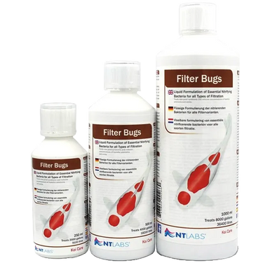NT Labs Filter Bugs