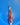Sanke 29cm