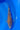 ochiba 33cm Kawakami Koi Farm