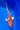 Doitsu Yamatonishiki 21cm Koi for Sale from Saito - JS KOI
