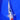 Doitsu Yamatonishiki 27cm Koi for Sale from Saito - JS KOI