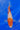 Kohaku 22cm Koi for Sale from Saito - JS KOI
