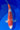 Kohaku Sakazume 43cm