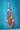 Kohaku NND 52CM