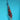 Sanke 21cm from Izumiya