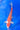 doitsu kohaku 37cm marusaka